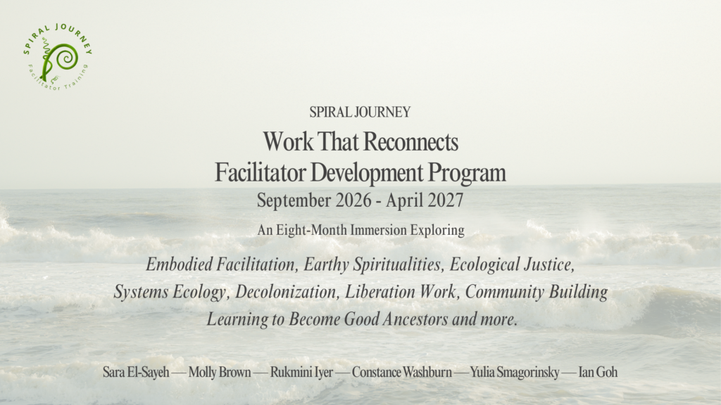 Spiral Journey Facilitator Development Program in the Work That Reconnects 2026/27