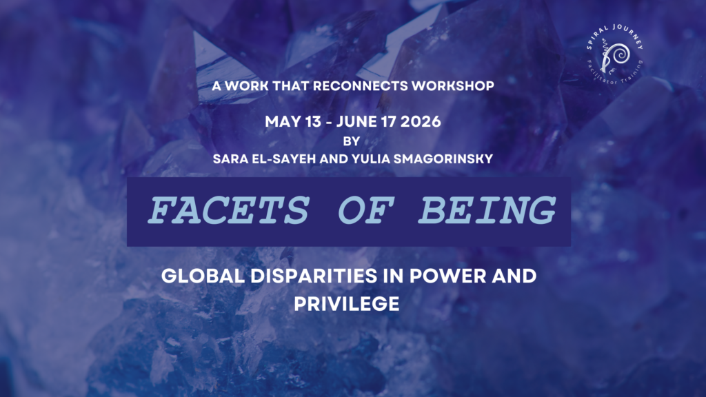 facets of being Global Disparities in Power and Privilege by Sara and Yulia