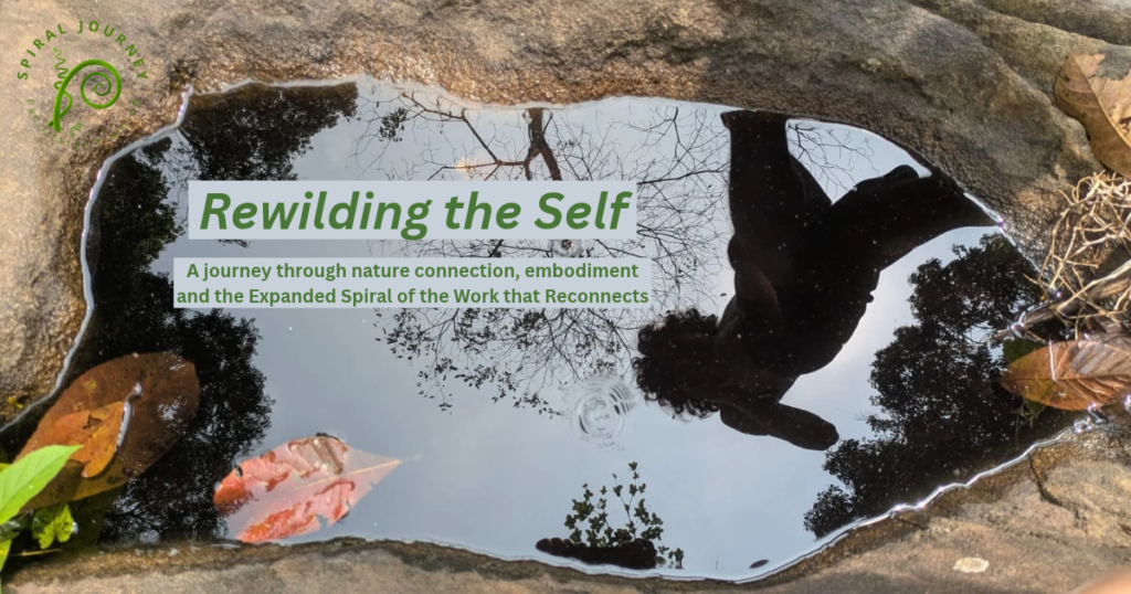 Rewilding the Self